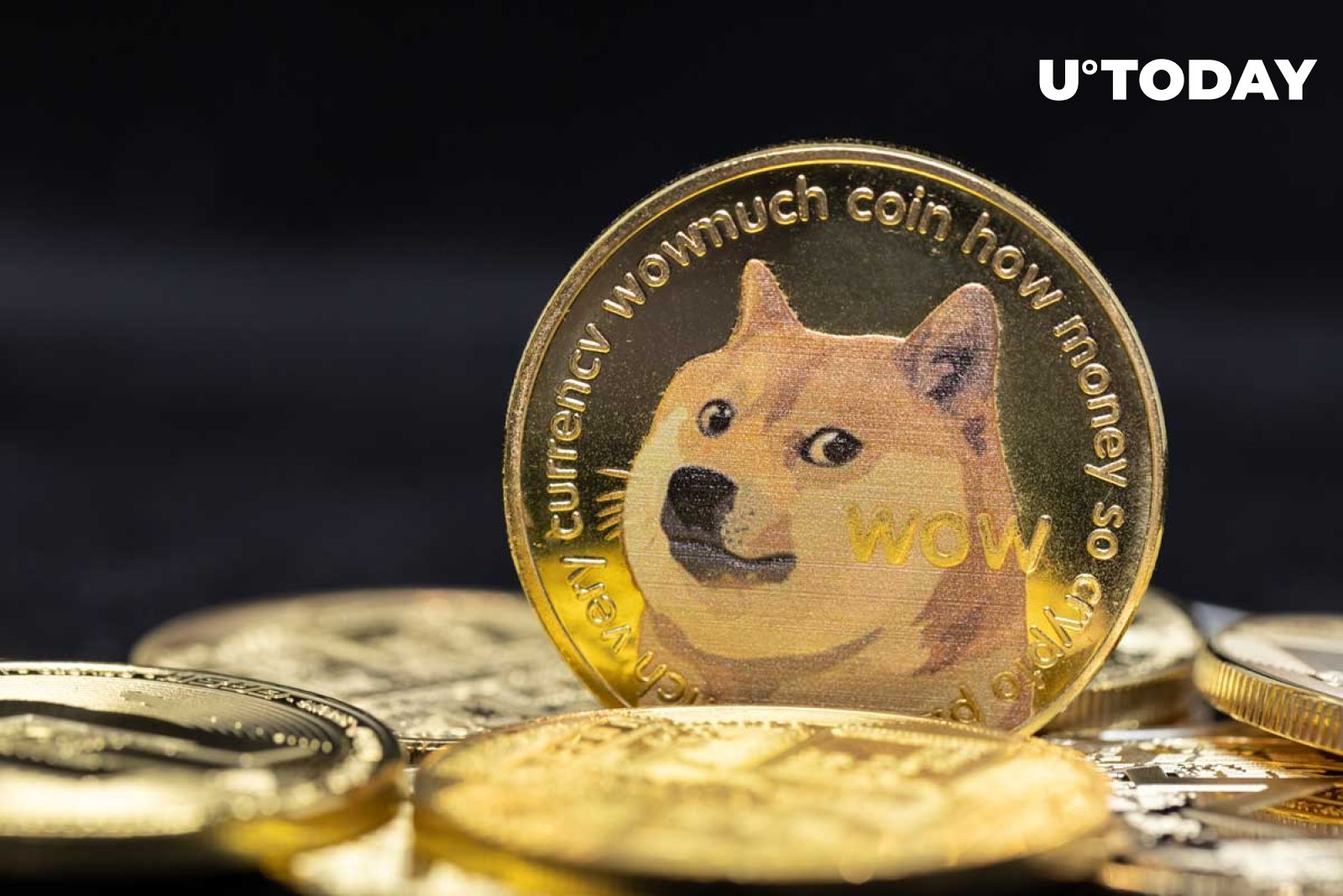 Dogecoin Large Transactions Increase by 10% Amid Market Dip