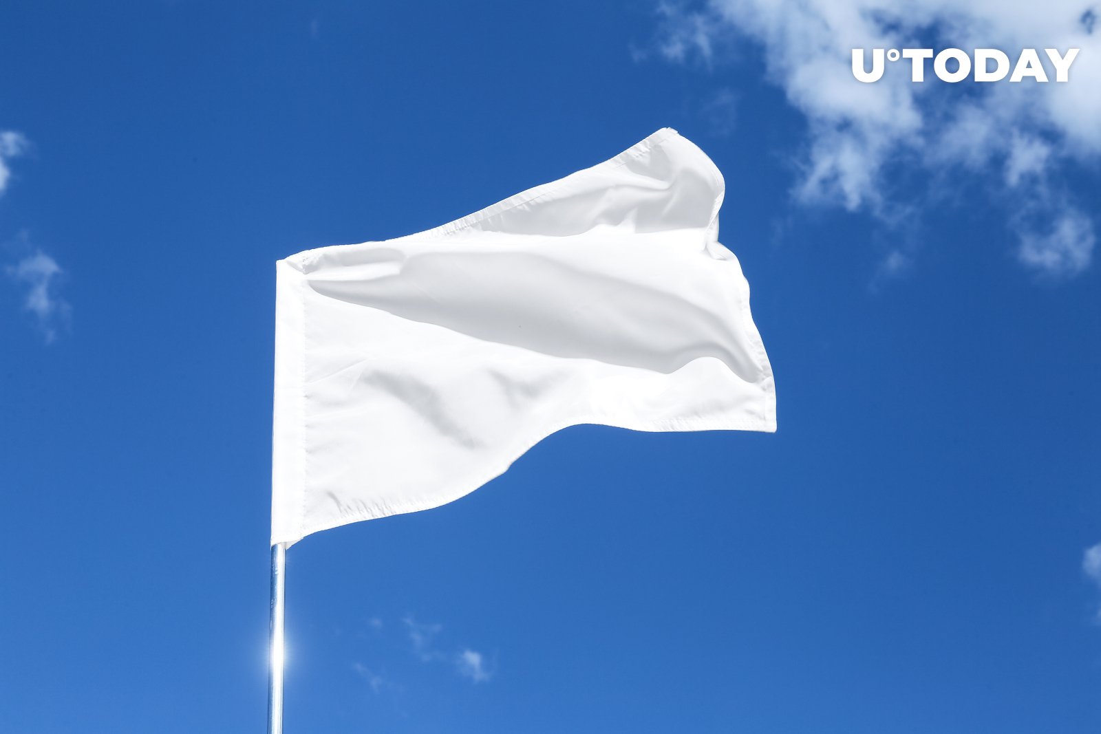 мокап флажок настольный. белые флаги видео. белые флаги. белый флаг мокап. белые флаги видео.