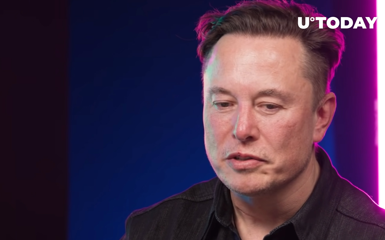 Elon Musk Goes Hard on Twitter, Calls Out Crypto Scammers in Every Thread