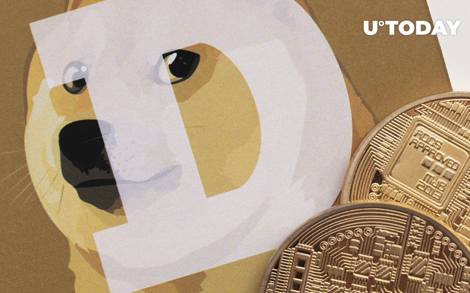 Dogecoin Profitability Returns Back Above 50 Here's What It Means For DOGE Holders