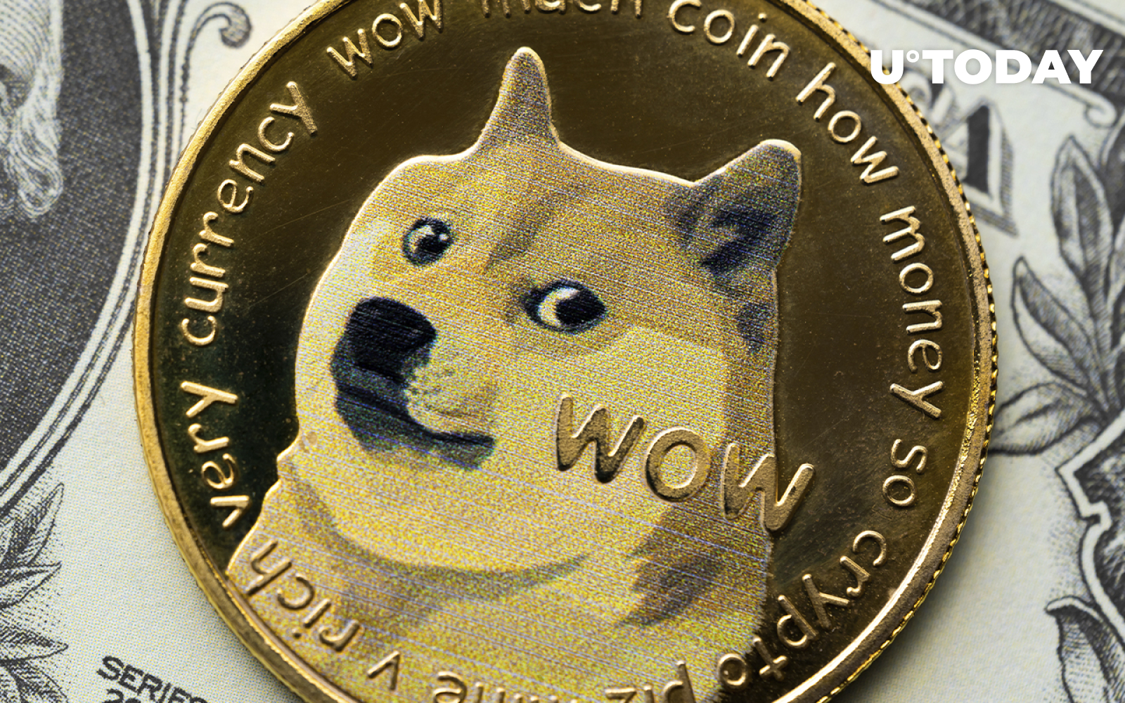 Dogecoin Bounced by 20% in Last 24 Hours: Here's Why