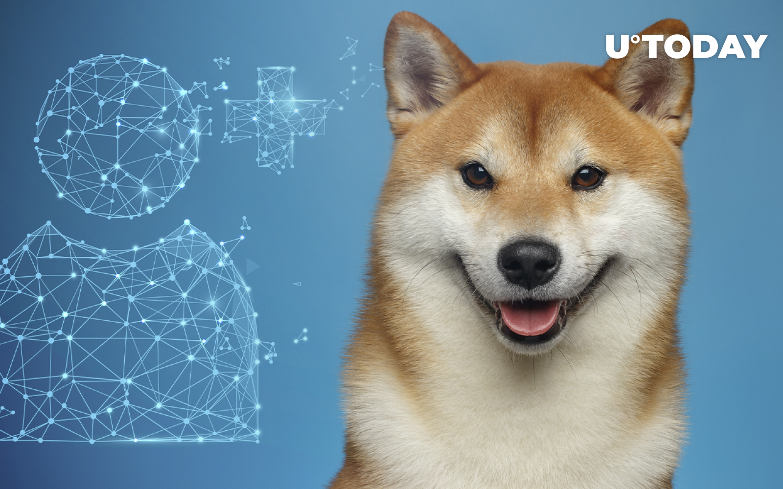 Shiba Inu Adds Nearly 200,000 Users Since the Start of 2022: Details