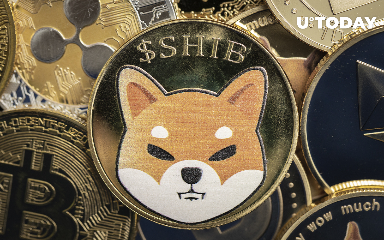 Shiba Inu-Friendly Payment Gateway Gains More Traction with Merchants