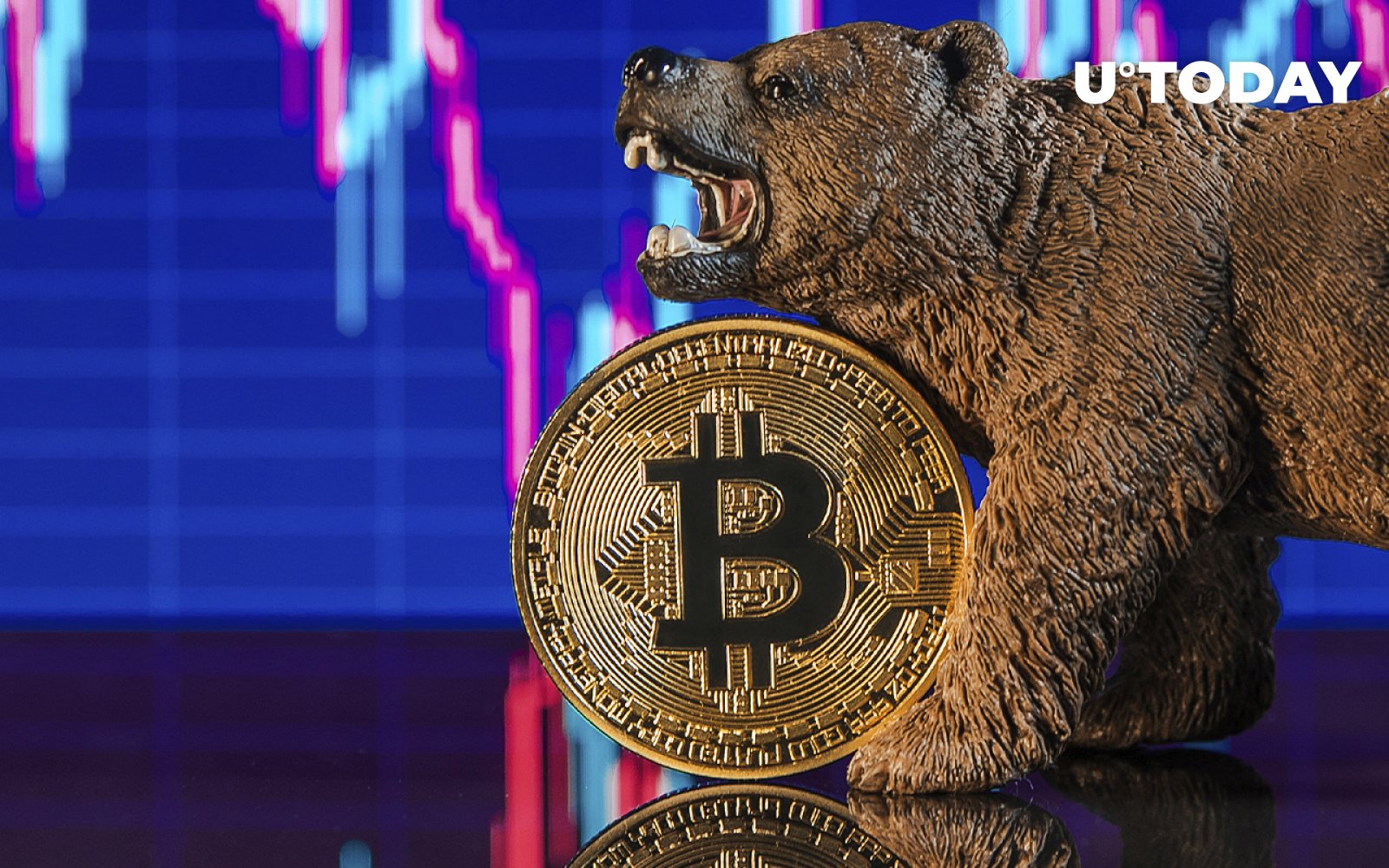 Crypto Execs Think Bear Market Is Good for Industry