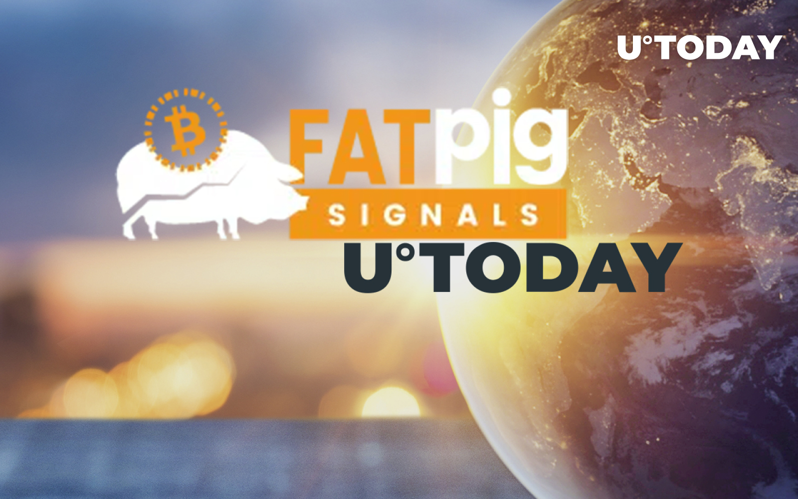 Fat Pig Signals Service Starts Broadcasting U.Today Content in Newsfeed -  U.Today