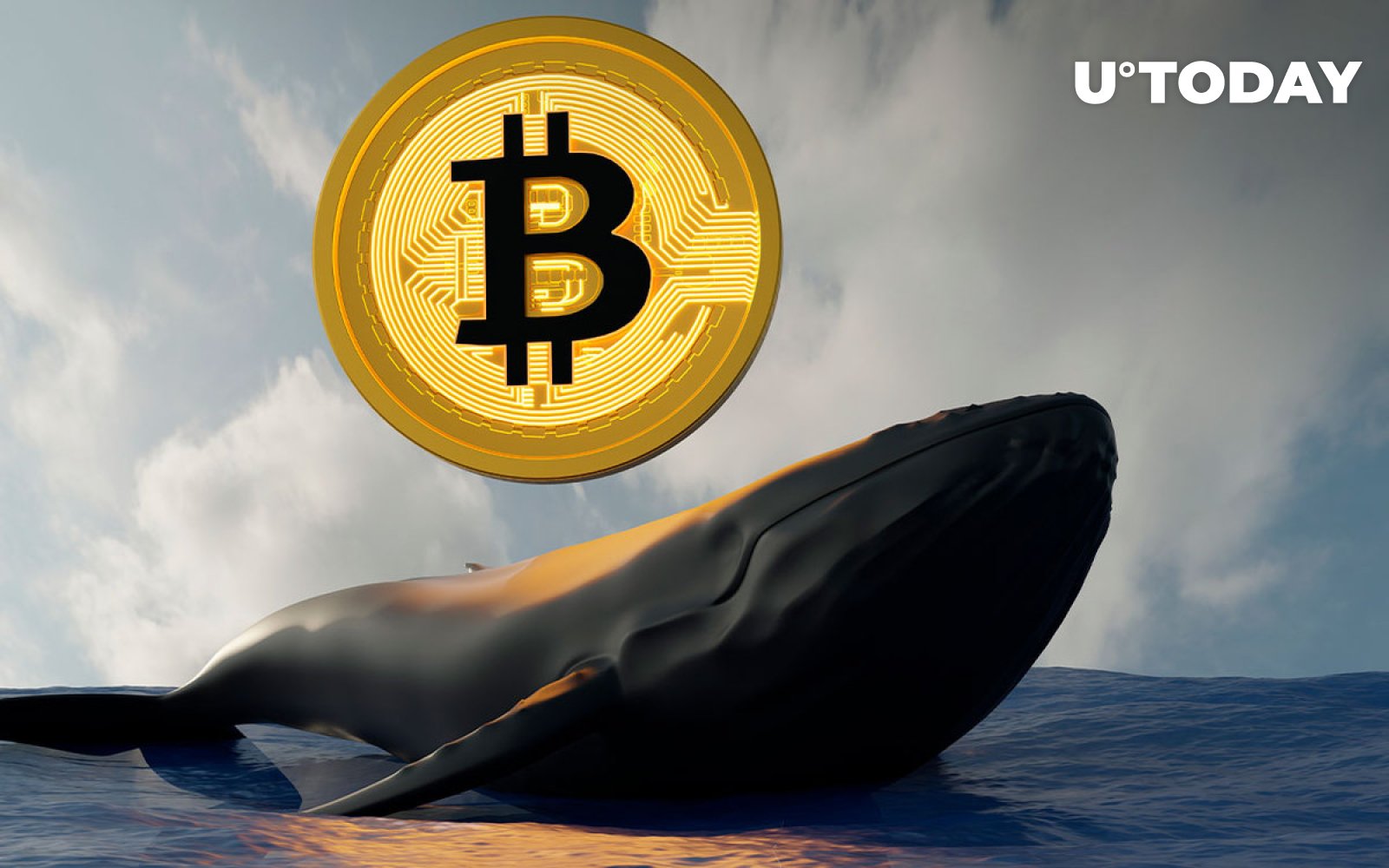 Bitcoin Whales Now Control 45.6% Of BTC Supply & Continue To ...