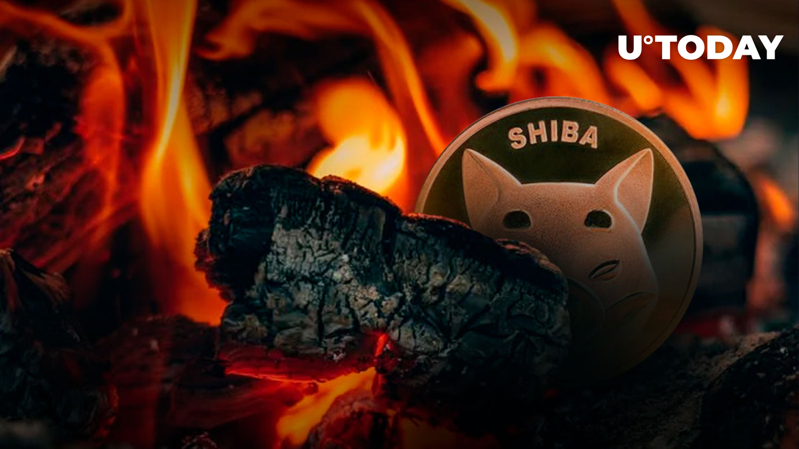 shiba-inu-shib-burn-rate-continues-200-rally-following-crypto-card-release