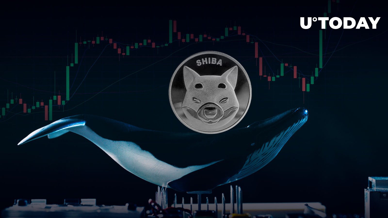 Shiba Inu Whales’ Trading Volume Spikes 639% as Price Holds Key Support