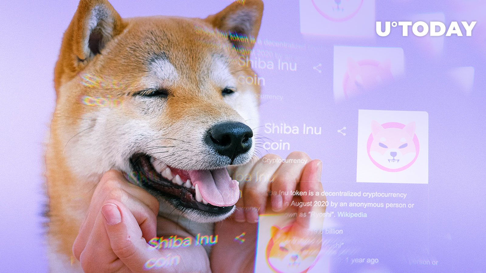 Shiba Inu Team Teases Community with Mysterious Video