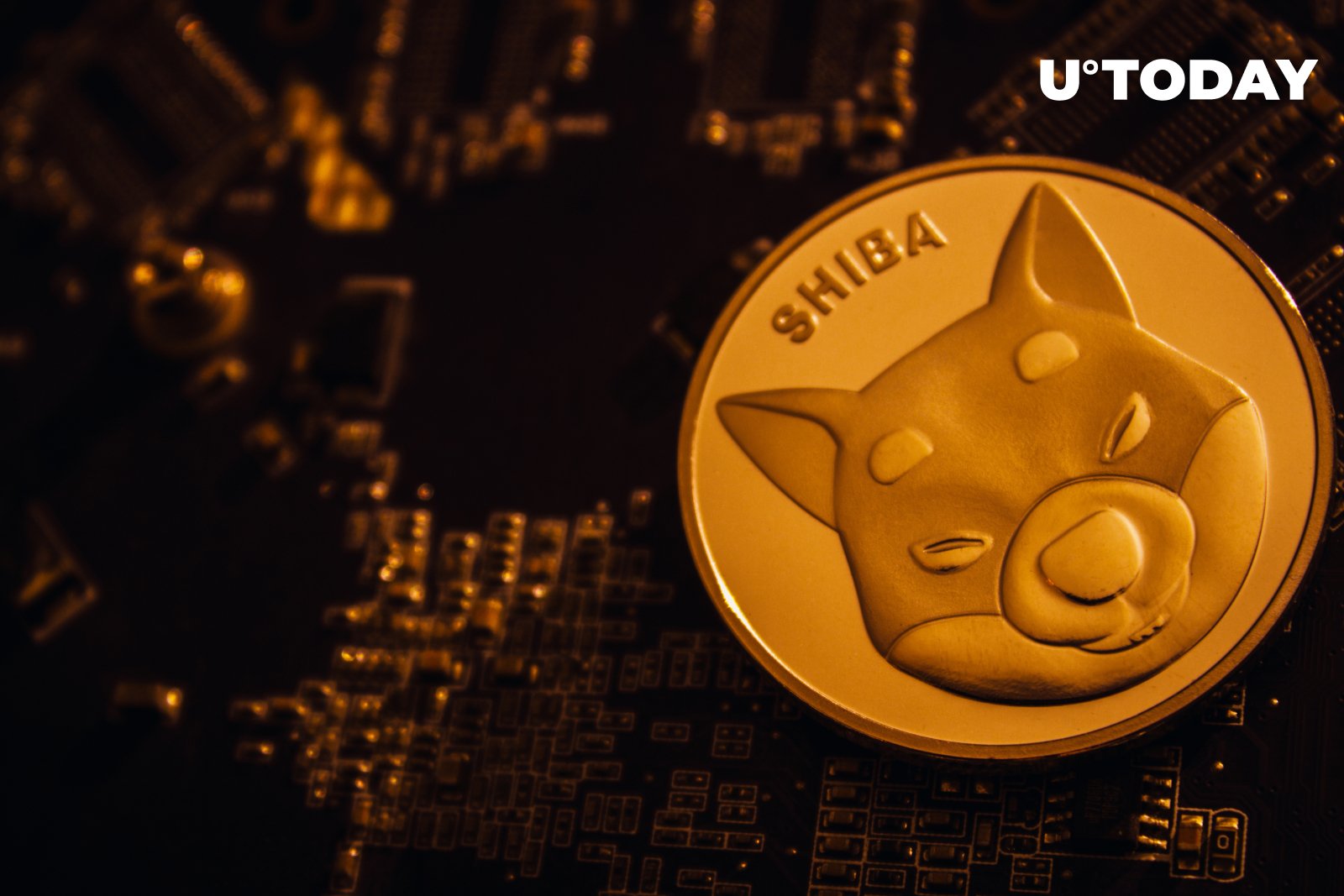 Shiba Inu (SHIB) Falls by Over 4% as Bitcoin Dips Below ,000