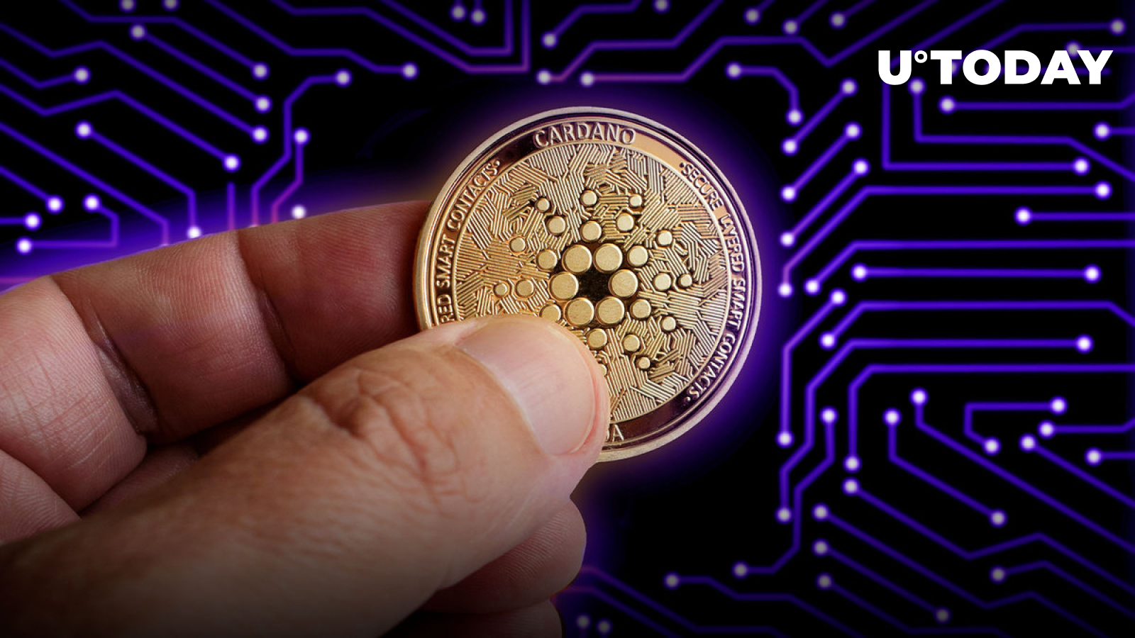 here-s-why-cardano-s-decentralization-networking-update-is-most-important-part-of-vasil