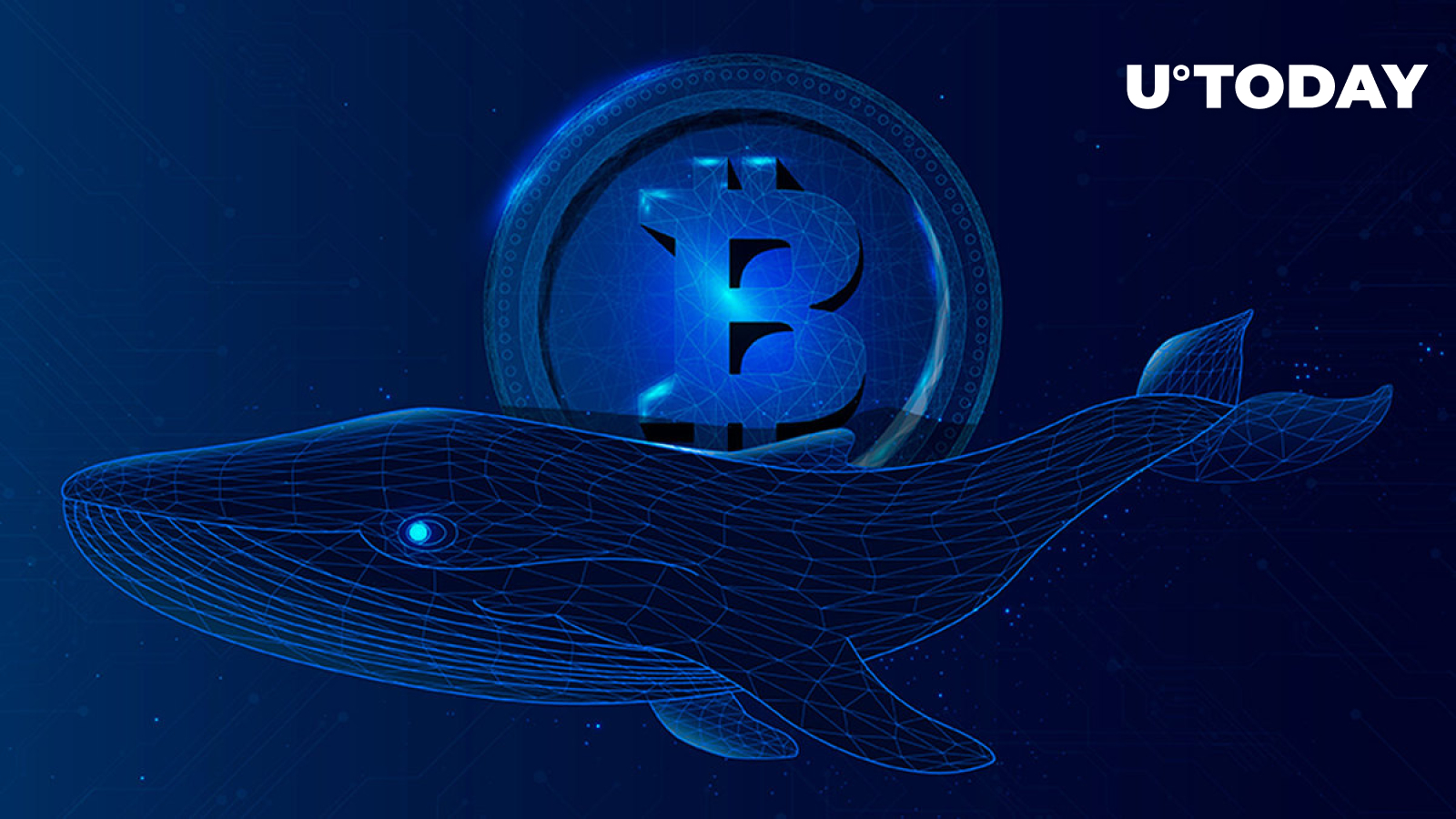ancient-bitcoin-whales-are-awakening-what-s-happening