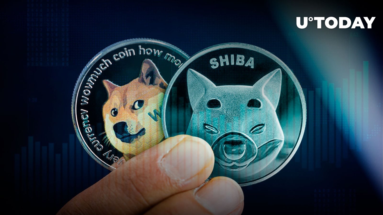 shiba-inu-dogecoin-post-gains-as-meme-cryptocurrencies-trading-volumes-spike-151
