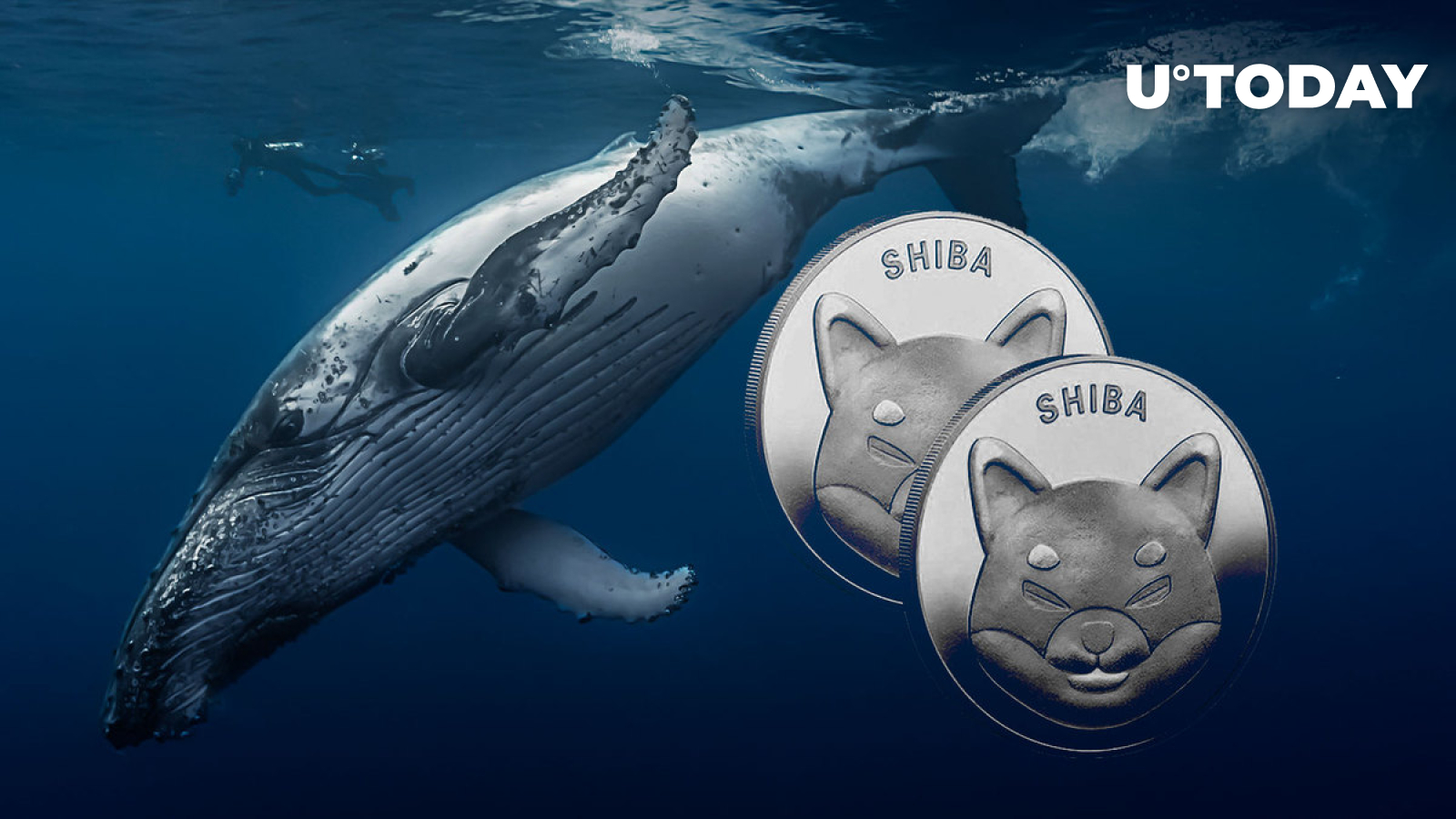 3 Million in SHIB End up in Whales’ Wallets as They Increase Holdings
