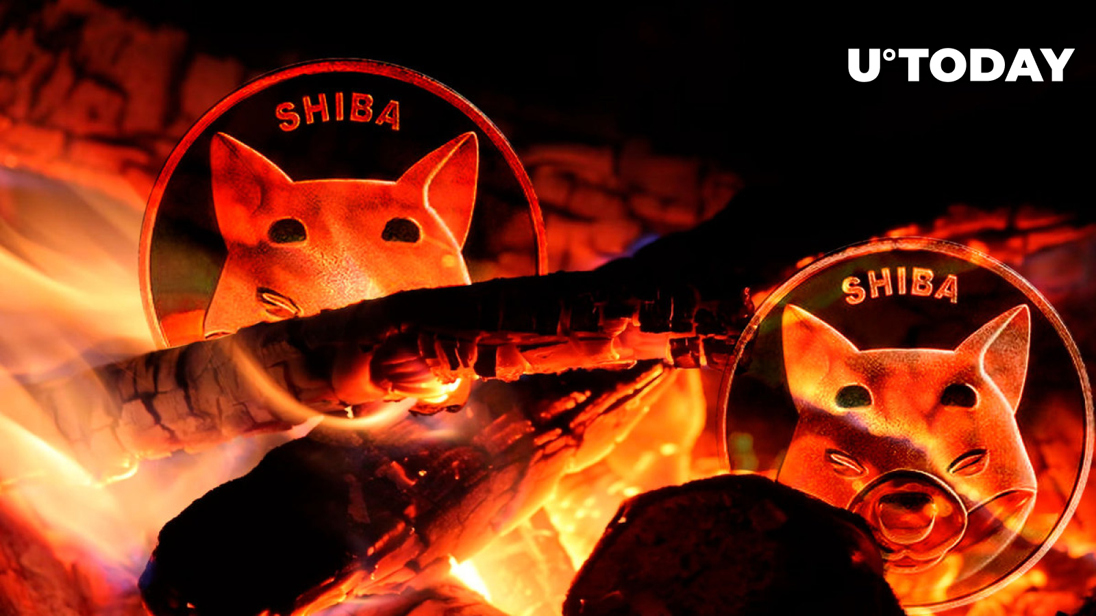 Shiba burning