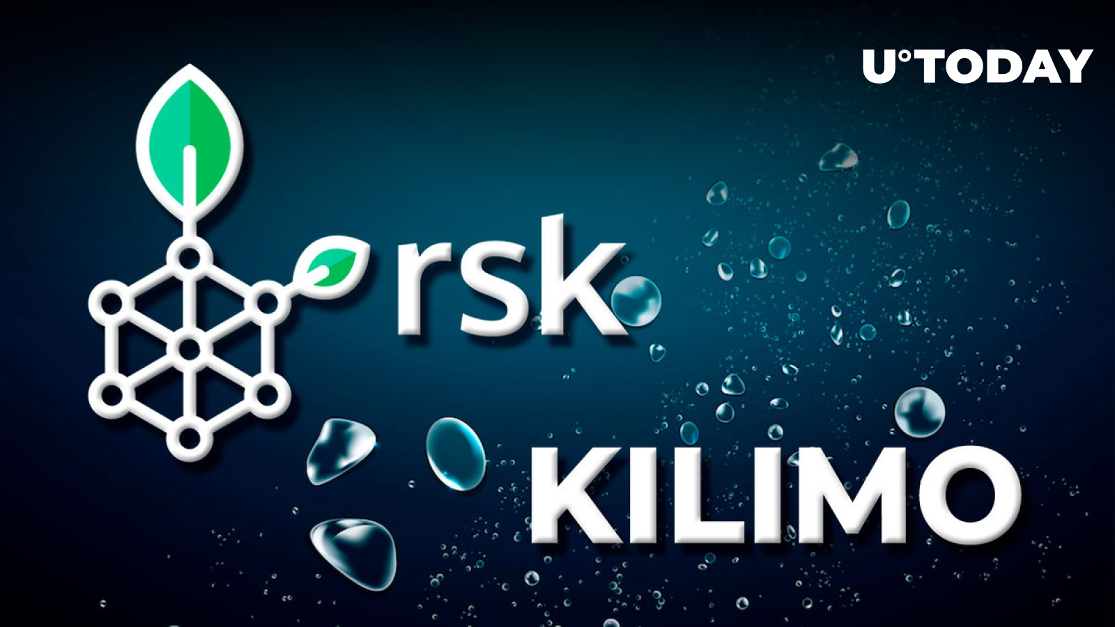 Rootstock-based WakeUp Labs Partners with Kilimo to Use NFTs for Water  Saving Program - U.Today