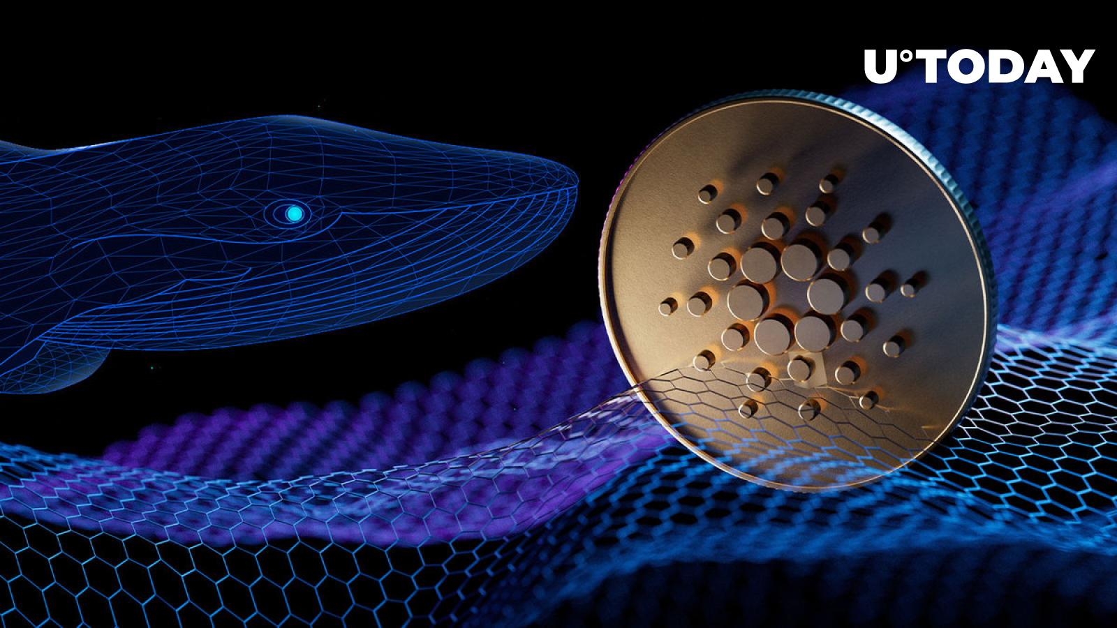 Whales Shifting Attention to Cardano Amid Vasil Optimism: Details