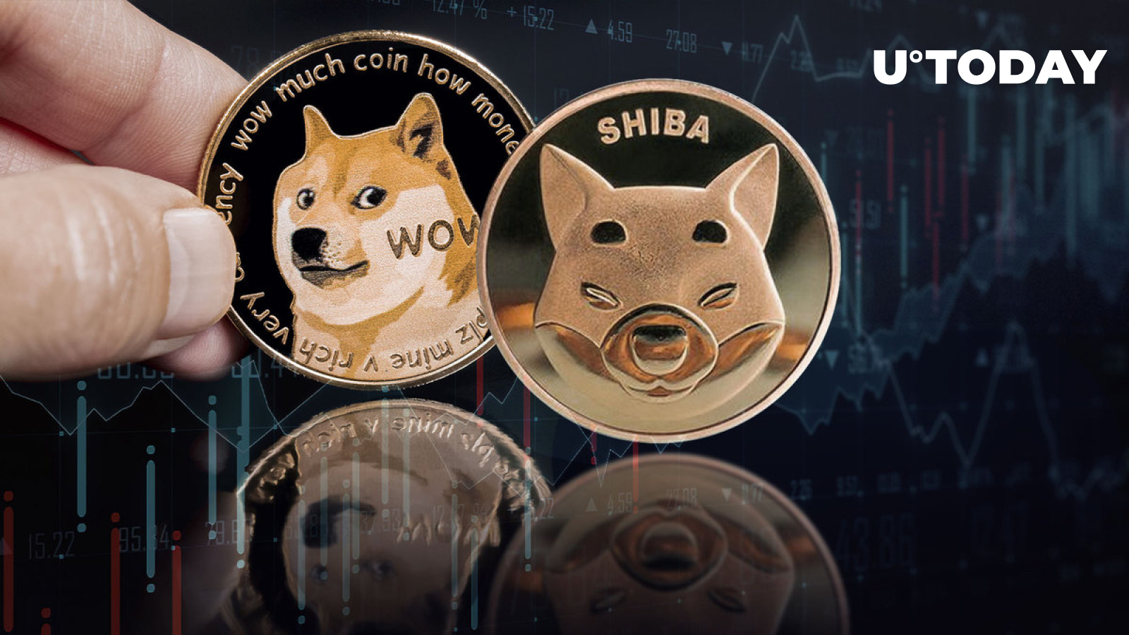 Shiba Inu-Dogecoin-Led Meme Economy Sees 16% Jump in Trading Volumes Amid Market Drop
