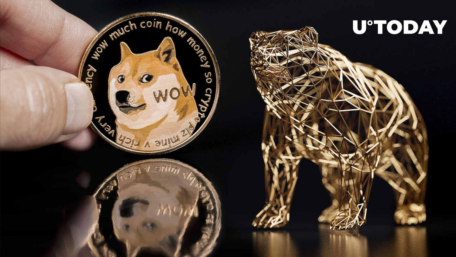 یکی از بنیانگذاران Dogecoin (DOGE) چیزی برای گفتن در مورد بازار خرس دارد