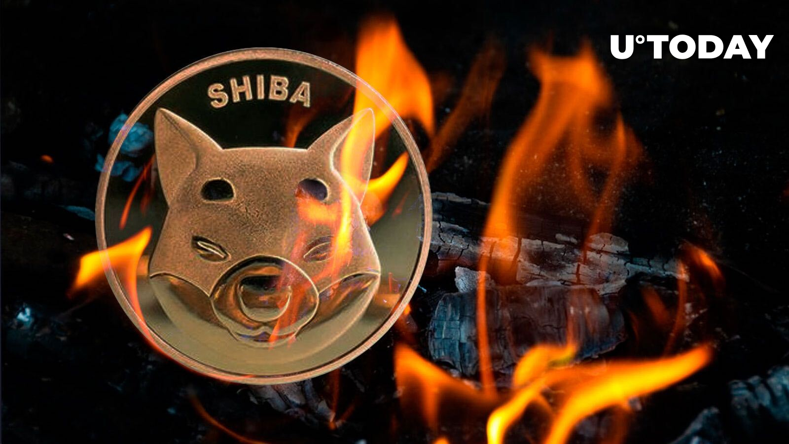 shiba-inu-records-3-6-billion-shib-burned-in-august-with-only-59-of-initial-supply-left