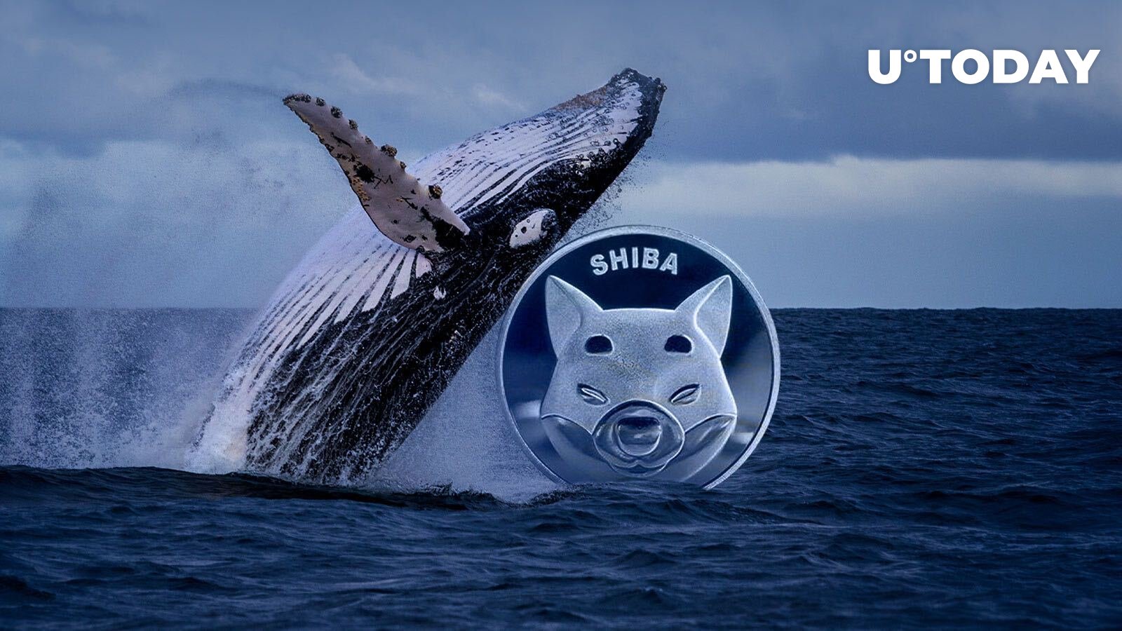 This Whale Buys SHIB Worth ,2 Million in One Week: Details