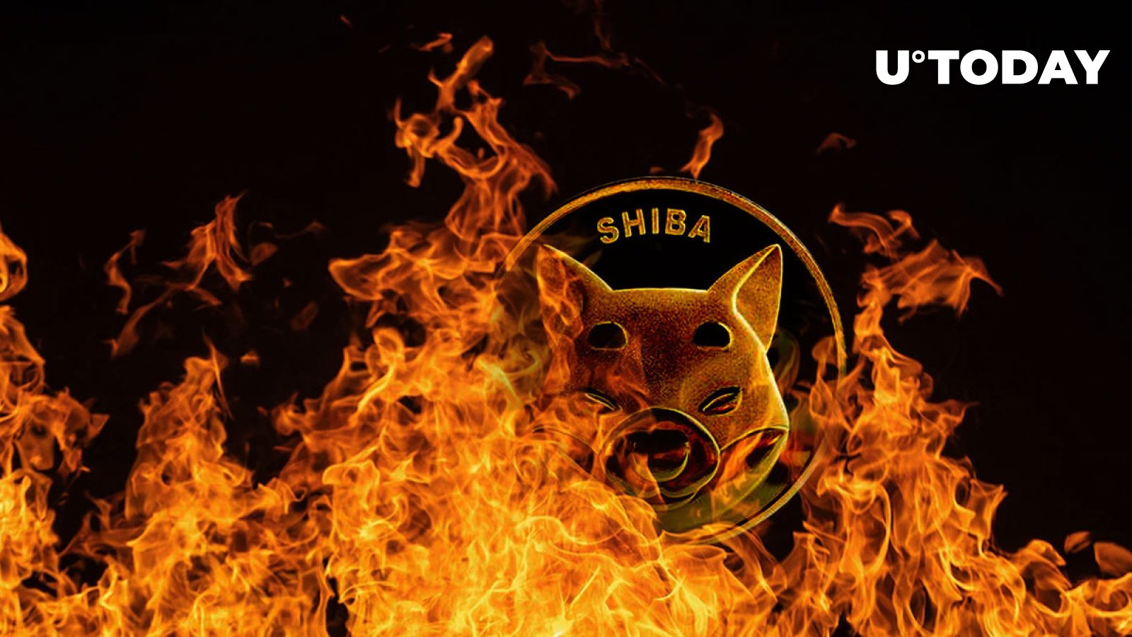 نیم میلیارد SHIB در هفته گذشته به کیف پول های مرده ارسال شد، اما سوزاندن آن مانند گذشته نیست