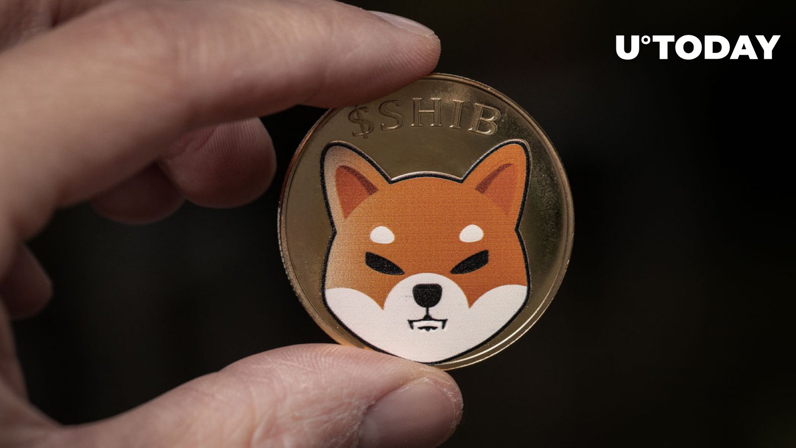 3.7 Trillion SHIB Moved to Exchanges This Week as SHIB Game Soars to Top 20 in App Store