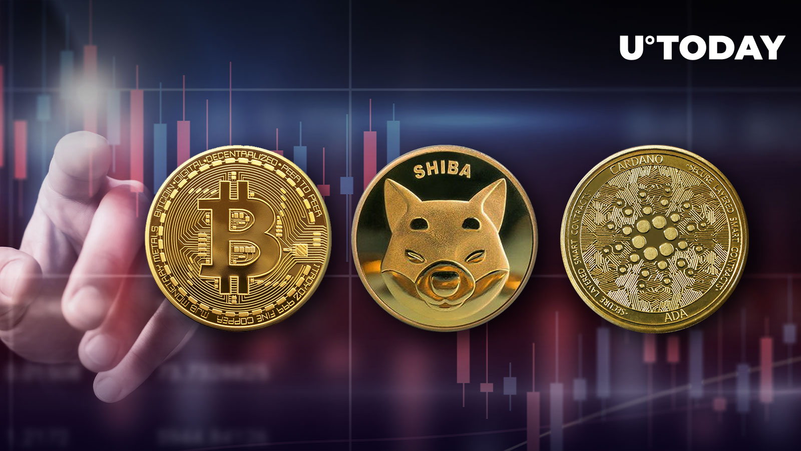 دلیل اصلی سقوط بیت کوین (BTC)، شیبا اینو (SHIB) و کاردانو (ADA) به پایین ترین سطح روزانه