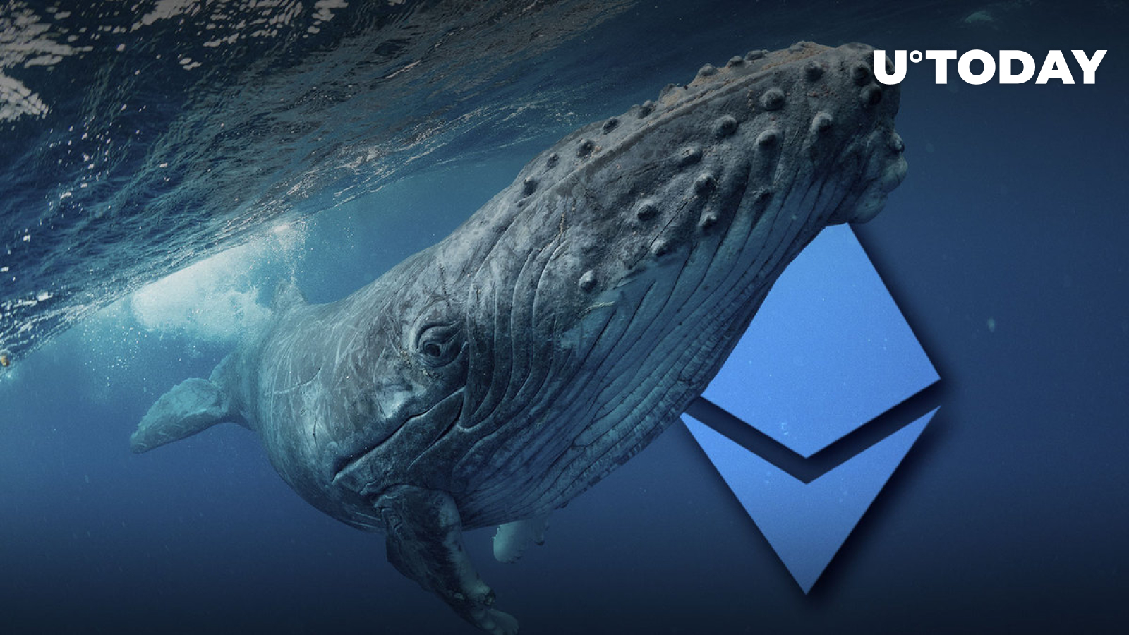 Ethereum whales steve gibson security now bitcoins