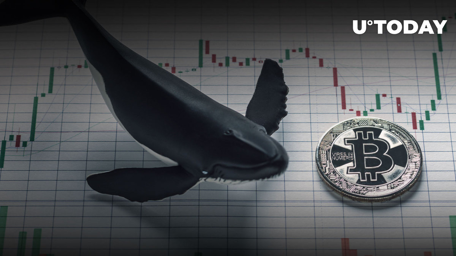 bitcoin whale buy