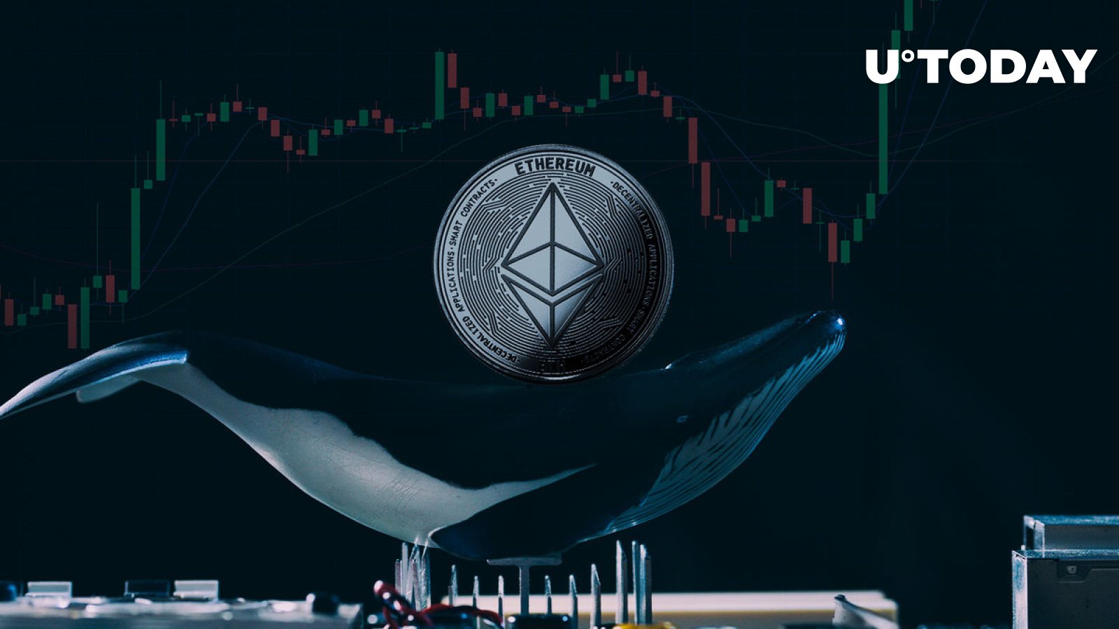 Here’s What Ethereum Whales Purchase Massively To Protect From Bear Market