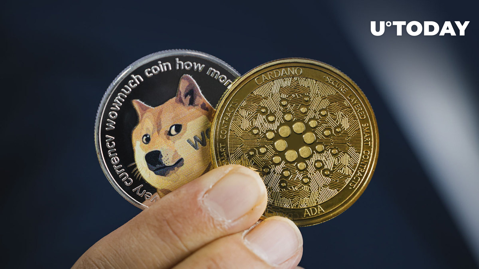 dogecoin-doge-ahead-of-cardano-after-explosive-price-performance