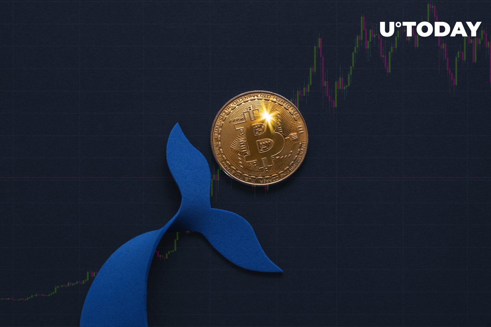btc-whales-create-genius-plan-to-curb-losses-analyst-says