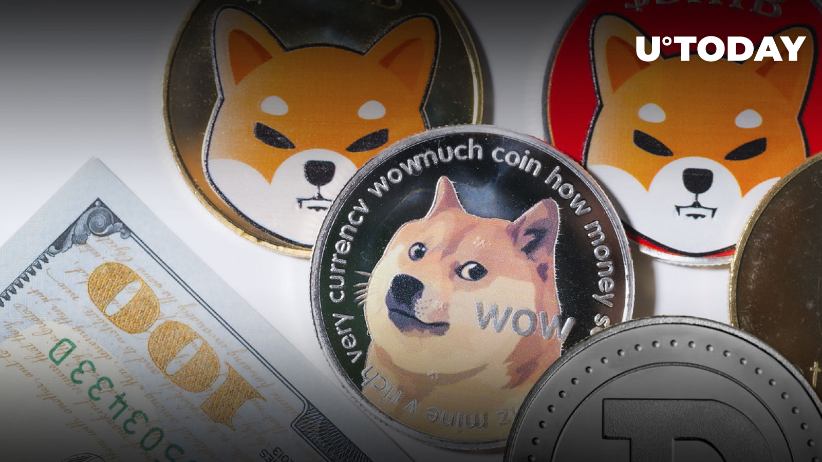 قیمت SHIB با شکست همبستگی DOGE 7.5٪ جهش کرد، این همان چیزی است که اتفاق افتاد