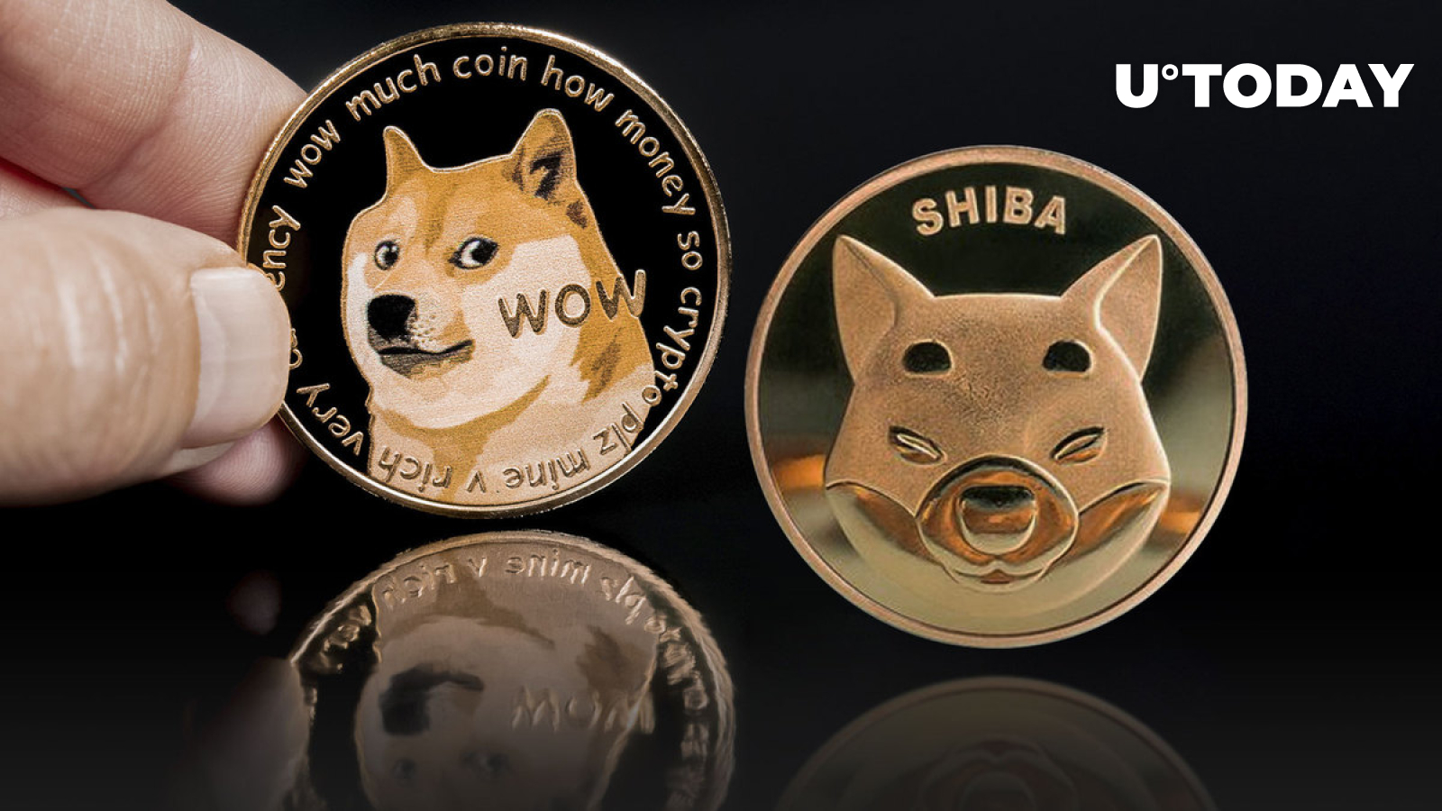 SHIB با افزایش 13 درصدی نسبت به آن در 5 روز بهتر از DOGE عمل می کند