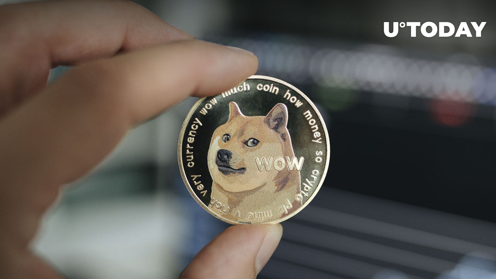 300 میلیون DOGE در ساعات اخیر جابه جا شد زیرا Dogecoin 20٪ از دست داد