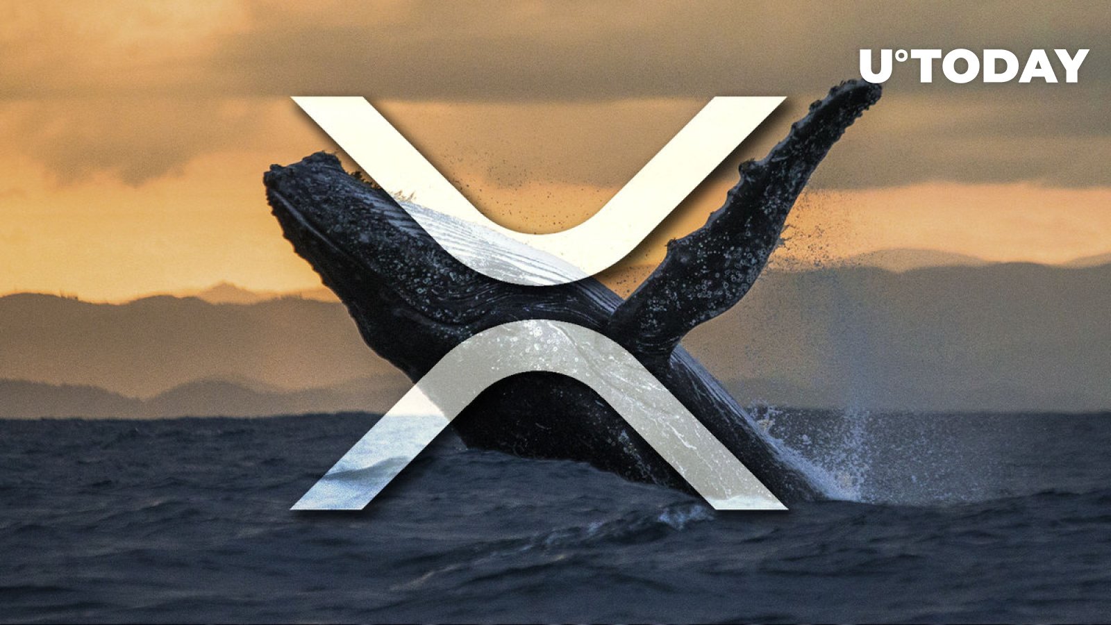 Hundreds of Millions of XRP Moved by Whales as Price Shows Bullish Setup