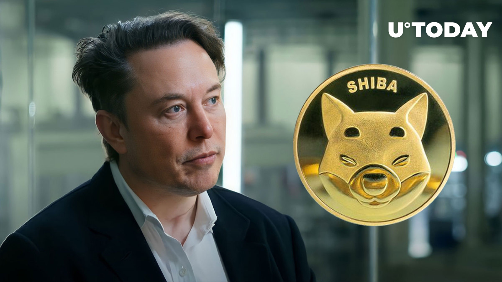 Shibburn Calls Elon Musk to Action, Here’s What It’s About