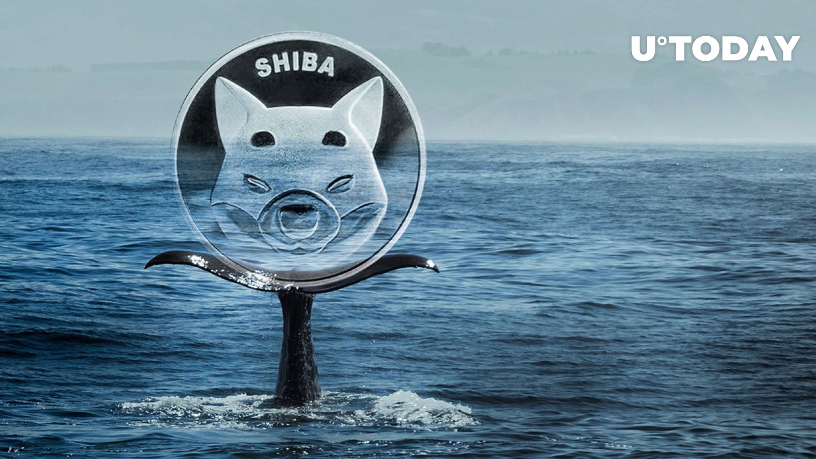 SHIB Reacts to Whales’ Buying, Will Price Burn Extra Zero?