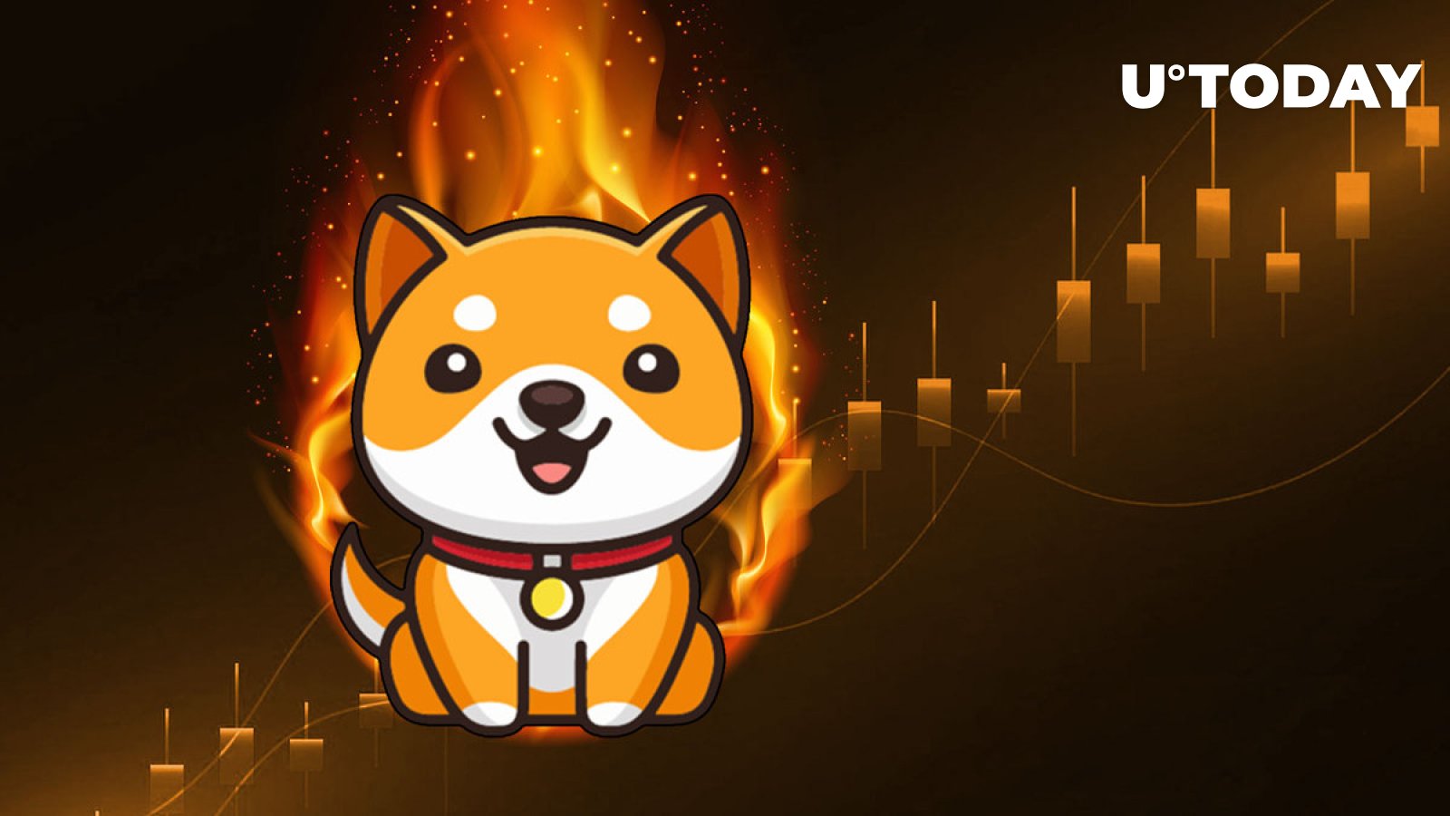 Massive BabyDoge Burn در 2 روز آینده می آید: گزارش