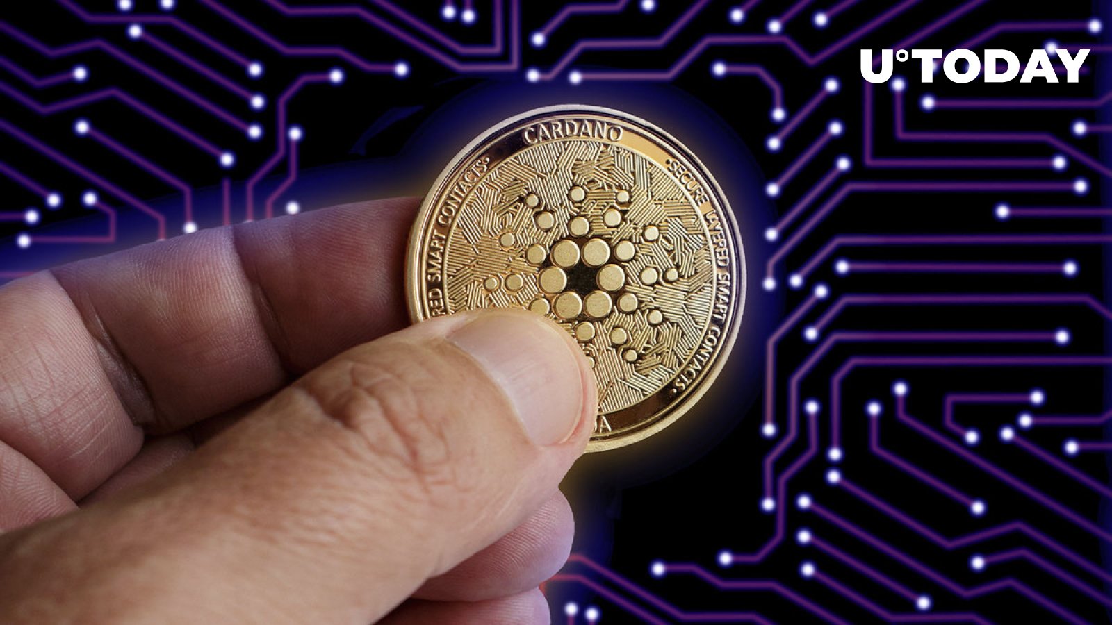 Cardano (ADA) Shows Crazy Development Activity, Competitors Massively Outperformed