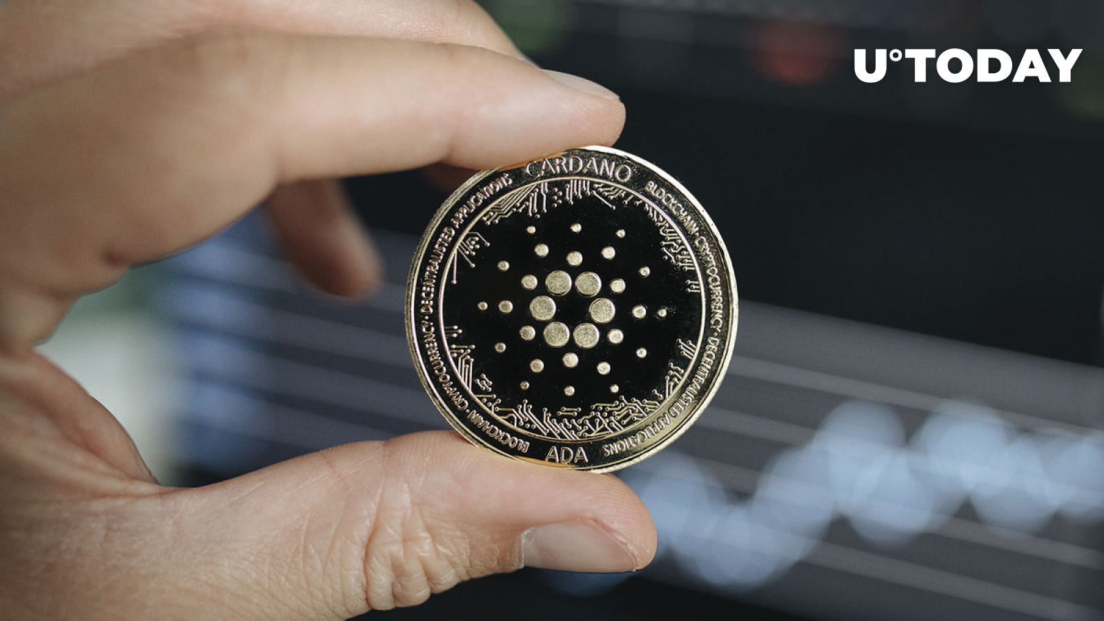 These Investors Buying Up Cardano (ADA) En Masse, What Is Their Plan?