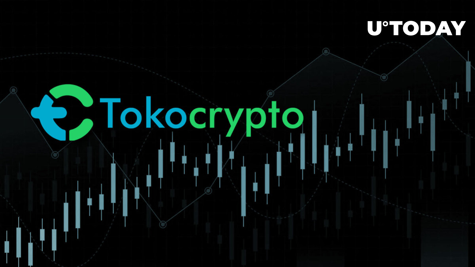 Here’s Why TKO Pumps 97% and What Binance Has to Do with It