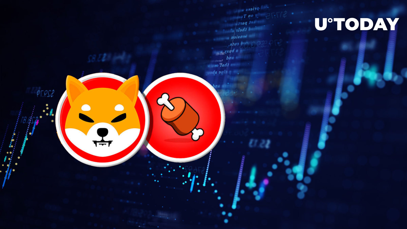 شاخص Shiba Inu’s BONE 10% افزایش یافته است زیرا قیمت در برابر BTC و ETH افزایش یافته است.