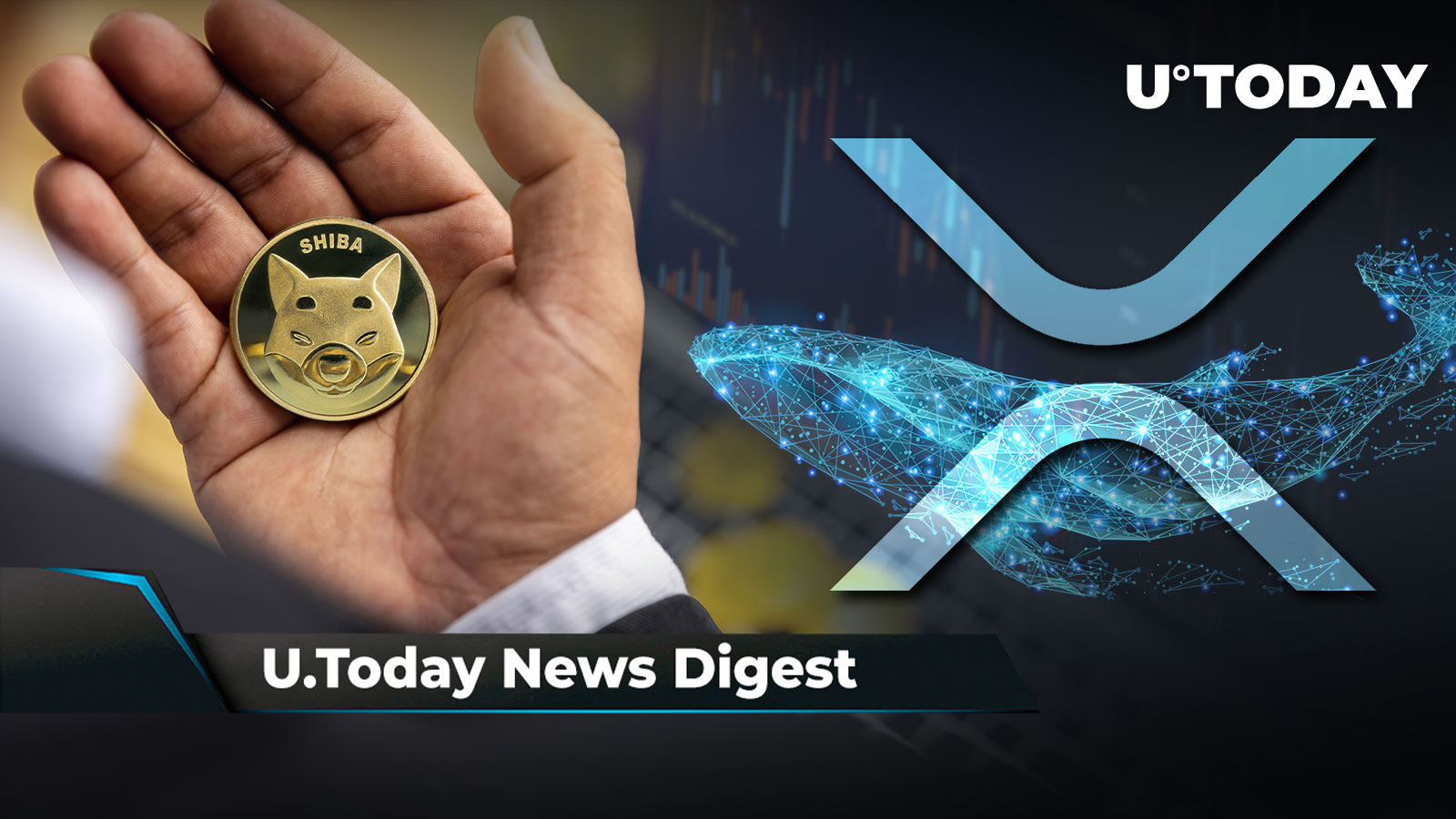 Crypto News Digest توسط U.Today