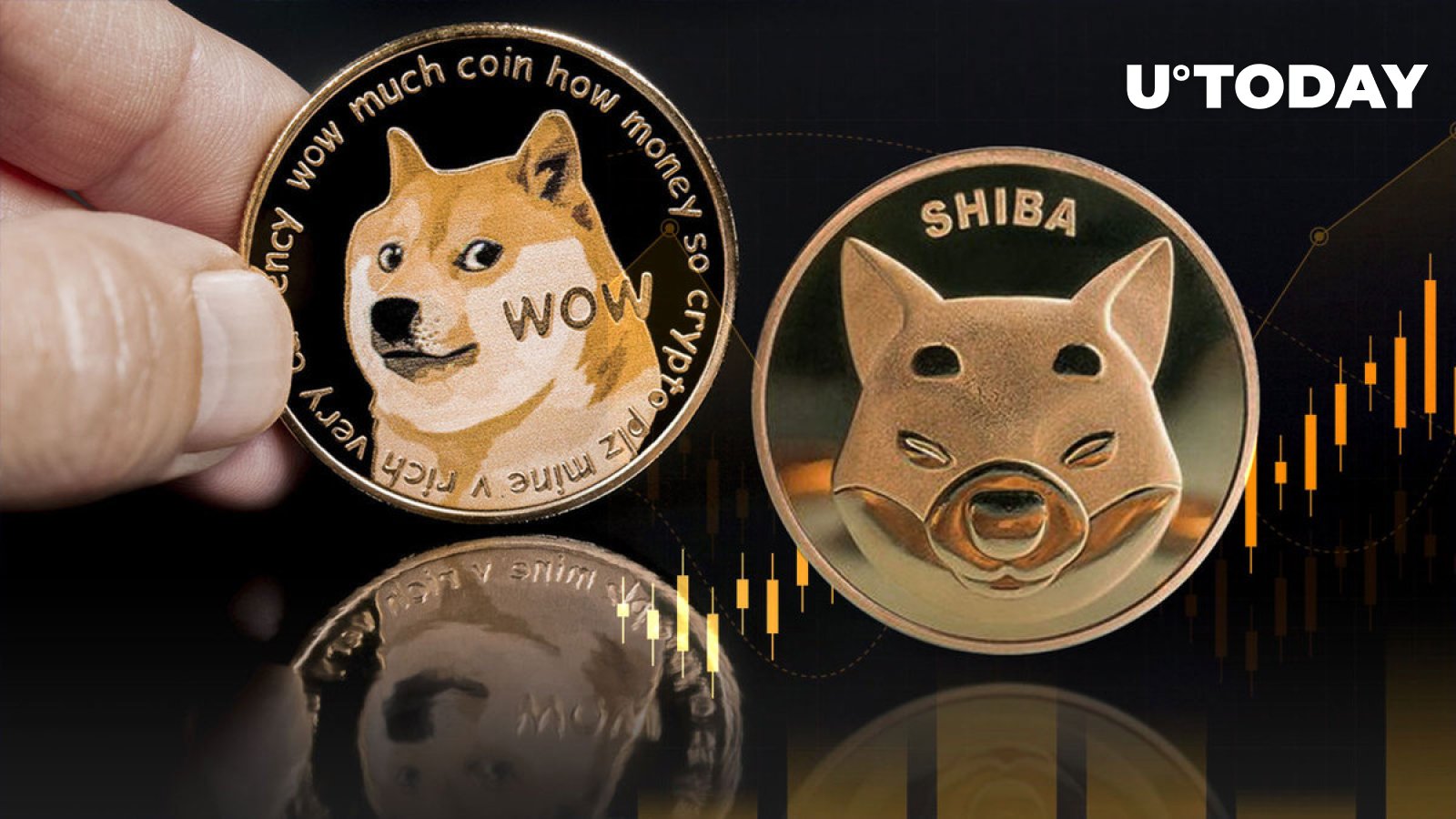 شیبا اینو (SHIB) 13 درصد در برابر Dogecoin (DOGE) افزایش می یابد و ممکن است هنوز تمام نشده باشد