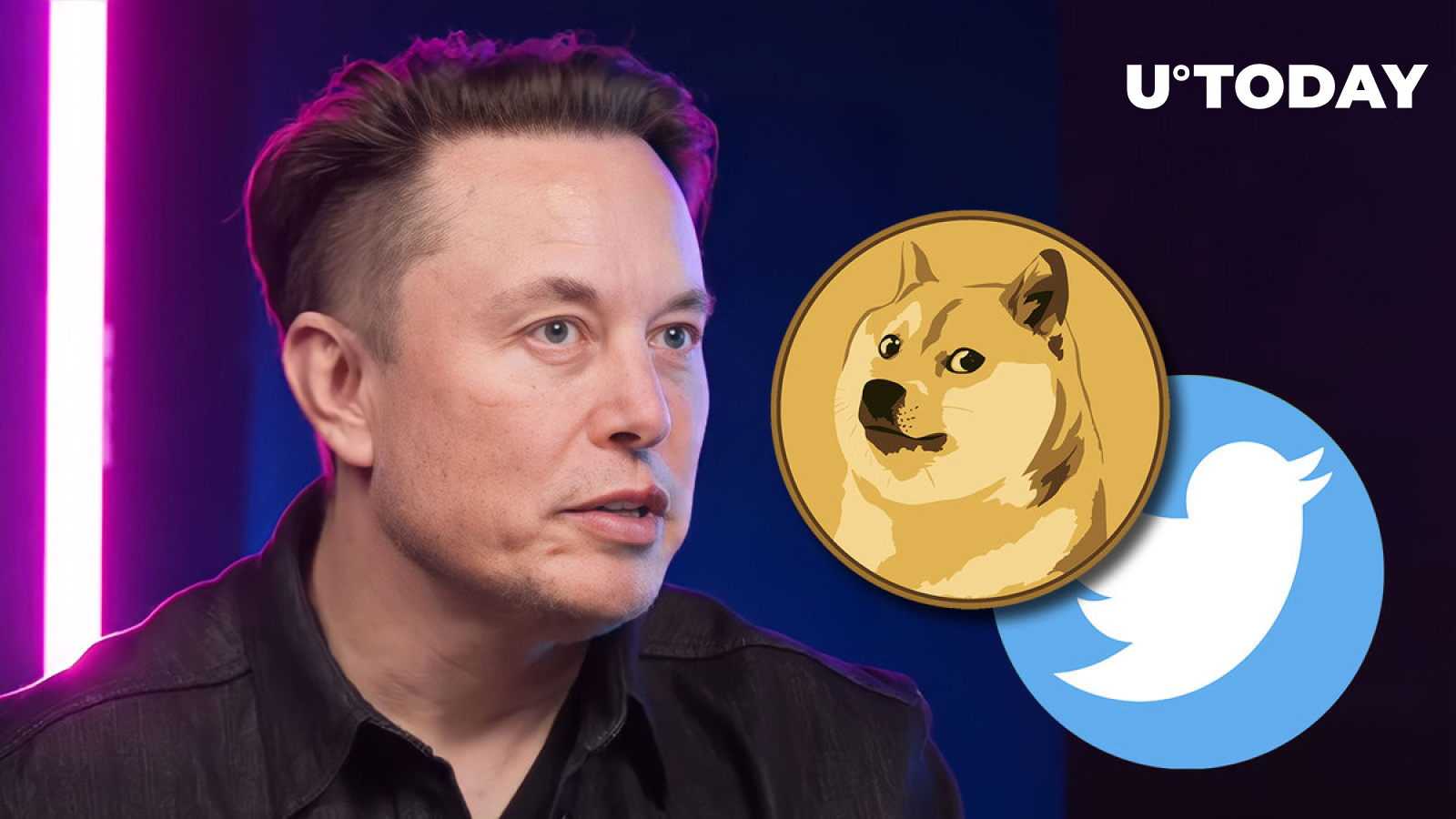 Elon Musk Says He May Talk to Doge Army Via Twitter Live Within Next 3 Days