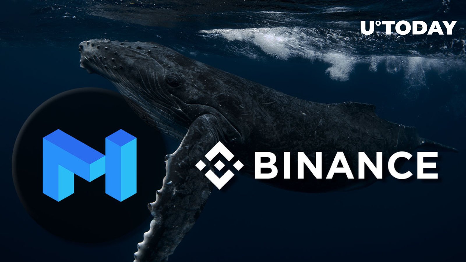 binance whale telegram