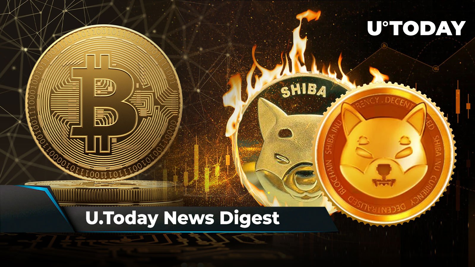 BTC Jumps Back Above ,000, FLR Tokens Airdropped to XRP Holders, Trillions of SHIB to Be Burned Once Shibarium Launches: Crypto News Digest by U.Today