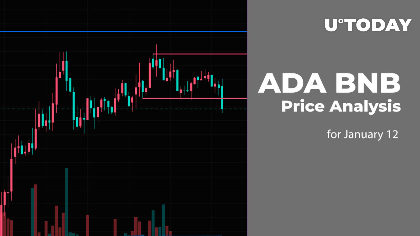 ADA and BNB Price Analysis for January 12 ADA and BNB Price Analysis for January 12